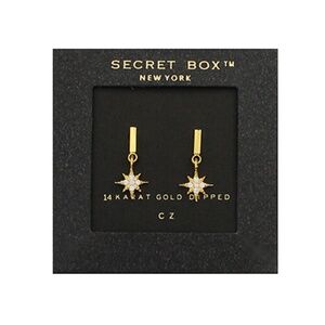 CZ Starburst Bar Earrings